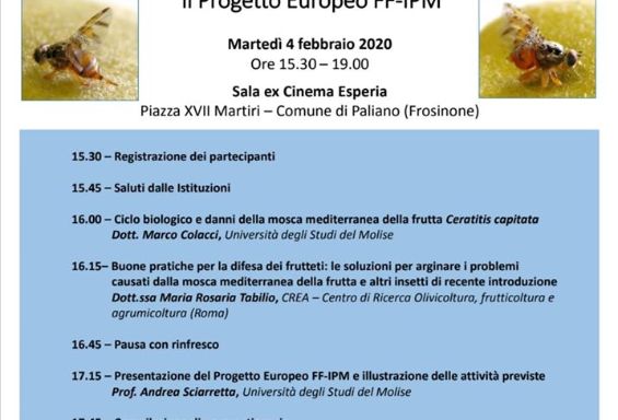 L'impiego degli insetticidi in frutticultura