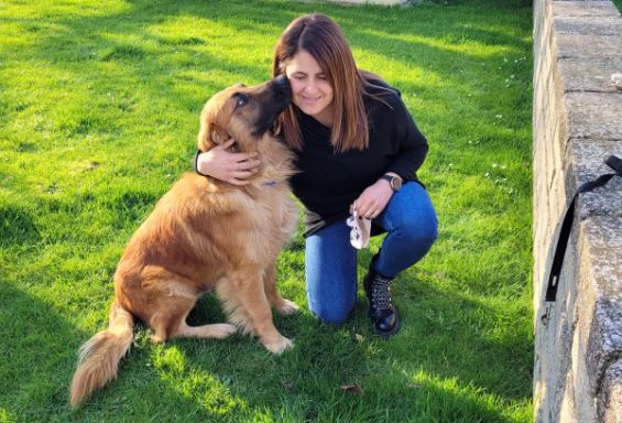 Ben 6 cuccioli adottati grazie all'Accademia Kronos e altri volontari