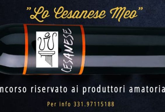 Concorso "Lo Cesanese meo"