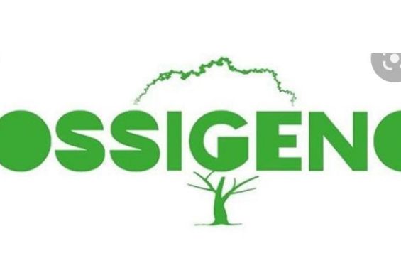 Progetto "Ossigeno": 244 piante e alberi