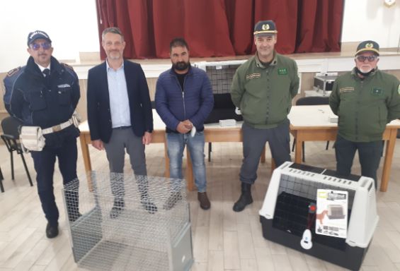 Lotta randagismo: nuove risorse per l'Accademia Kronos