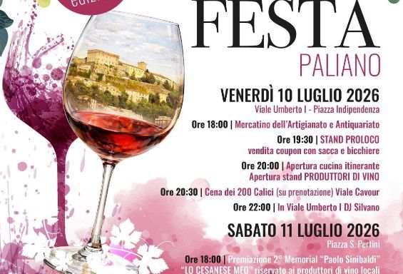 Vino in Festa