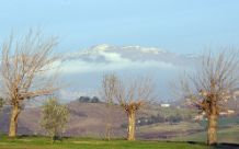 Colline alberate _ ph. Massimo Brugè