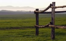 Dettagli di campagna _ ph. Massimo Brugè