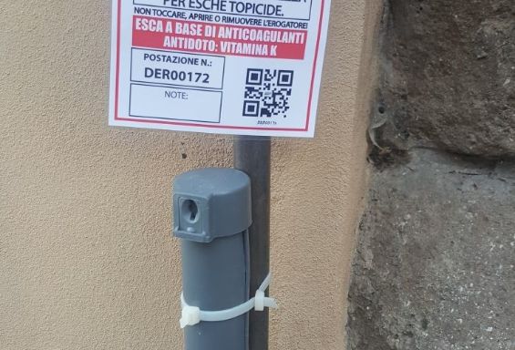 Centro storico: nuovi interventi per il decoro e l'igiene