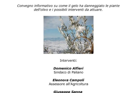 Convegno informativo sui danni provocati dal gelo sugli olivi.