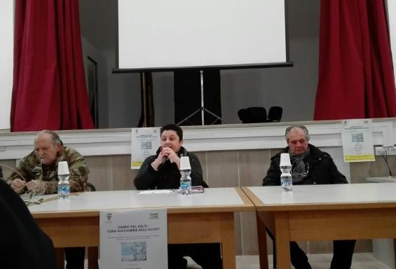Grande affluenza al convegno sui danni del gelo sugli olivi