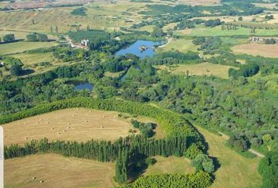Selva di Paliano: l'amministrazione Alfieri ottiene dalla Regione la concessione del Monumento Naturale.