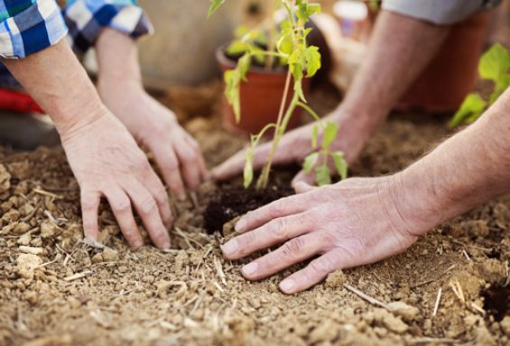 Agricoltura Sociale: Domanda per l'iscrizione nel registro dei soggetti erogatori