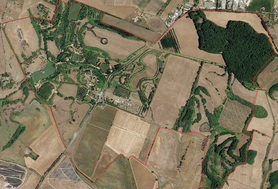 "La Selva": bandi per i terreni agricoli, sistemazione strade rurali