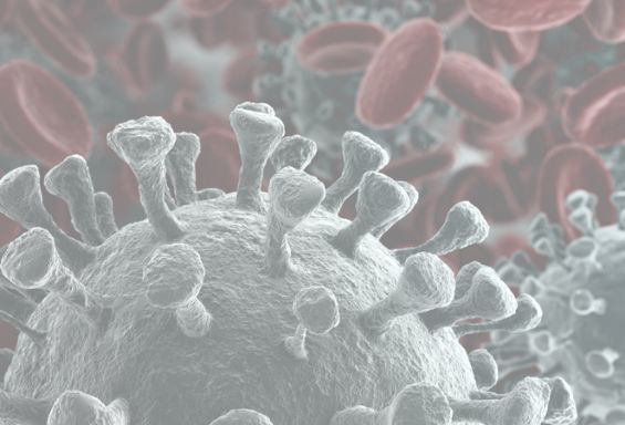 Emergenza Coronavirus: no allarmismo, sì prevenzione