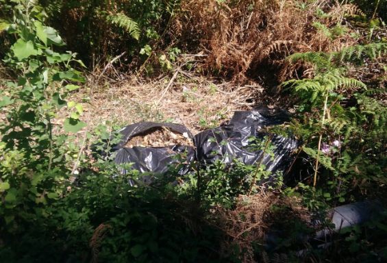 Rifiuti abbandonati: sanzionati i colpevoli