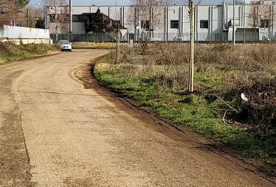 Alberi antismog per l'Amasona