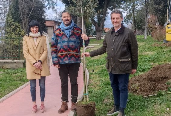 Progetto Ossigeno