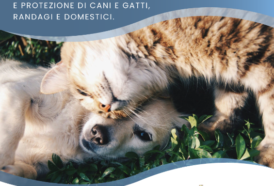 Al via la campagna "Operazione Protetti"